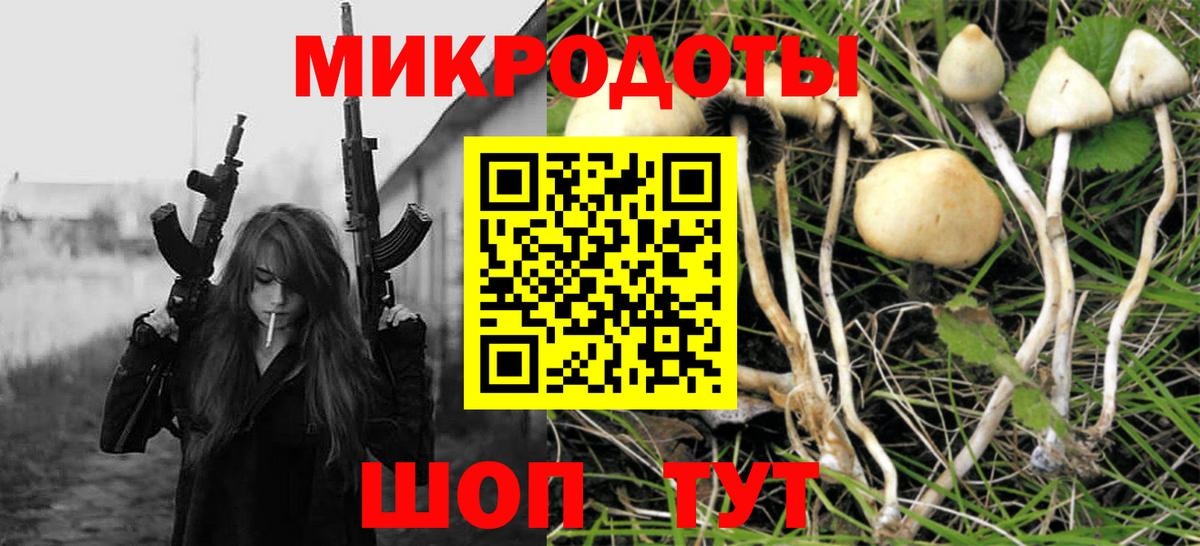 Галлюциногенные грибы Cubensis  Псилоцибиновые грибы прущие грибы  Касимов  Вход с VPN 
